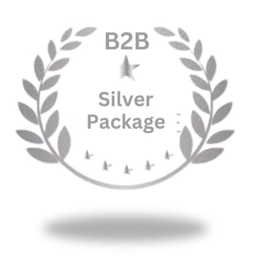 b2b Silver package