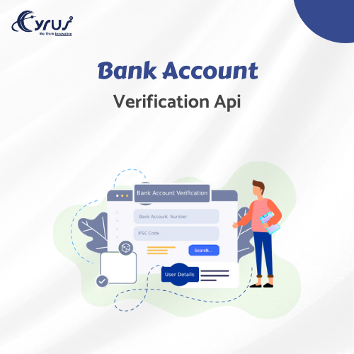 bank account verification api