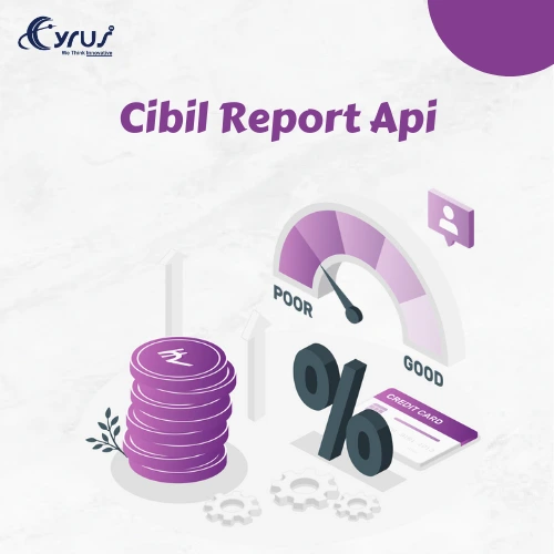 Cibil Report Api