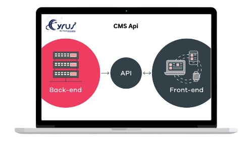 cms api